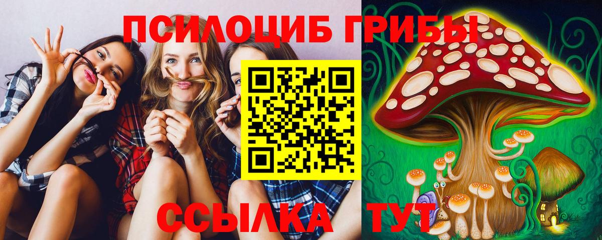 Сухой Лог  Псилоцибиновые грибы Magic Shrooms  Вход с VPN 